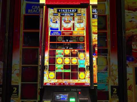 Experience the Thrill: Claim Your White Lotus Casino 300 Free Chip in South Africa & Play in English