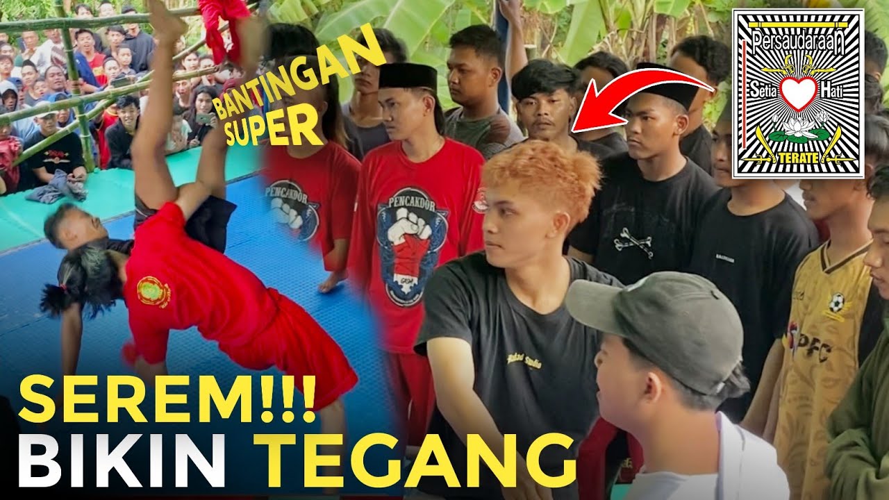 PENCAK DOR TERBARU 2023 | PSHT VS GASMI VS IKSPI