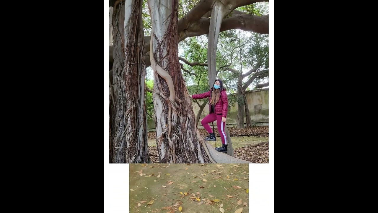 Outdoor education - Palermo - Progetto FISR 2020 - Primo video 16/10/2021. Orto botanico