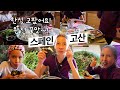 스페인 캠프 훈련받고 온 아이들, 한식 고파 접는 김밥 만들어 달라네요! 봄나물 뜯어 샐러드 해 먹기~