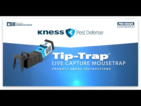 Kness Tip-Trap Live Mouse Trap 109-0-002-2Pk