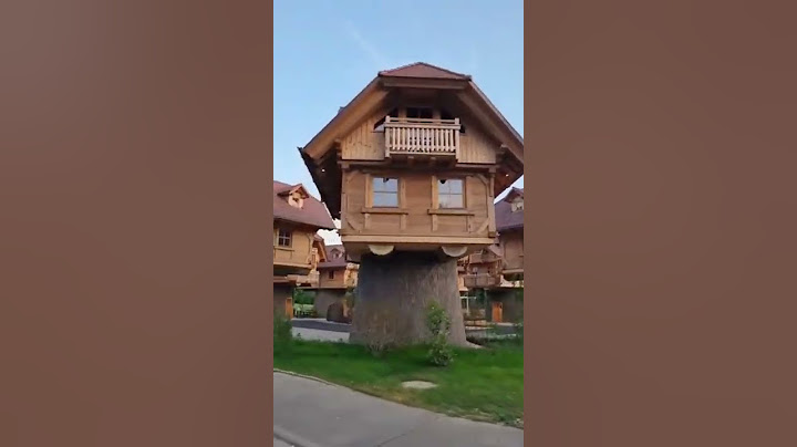 The tree house village in Germany! 🏡