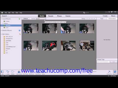 Photoshop Elements 12 Tutorial Sorting Images Adobe Training Lesson 2.18