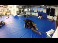 BJJ - Firas Zahabi Rolling at Tristar Gym - (Narrated) Universal Jiu-Jitsu Concept.