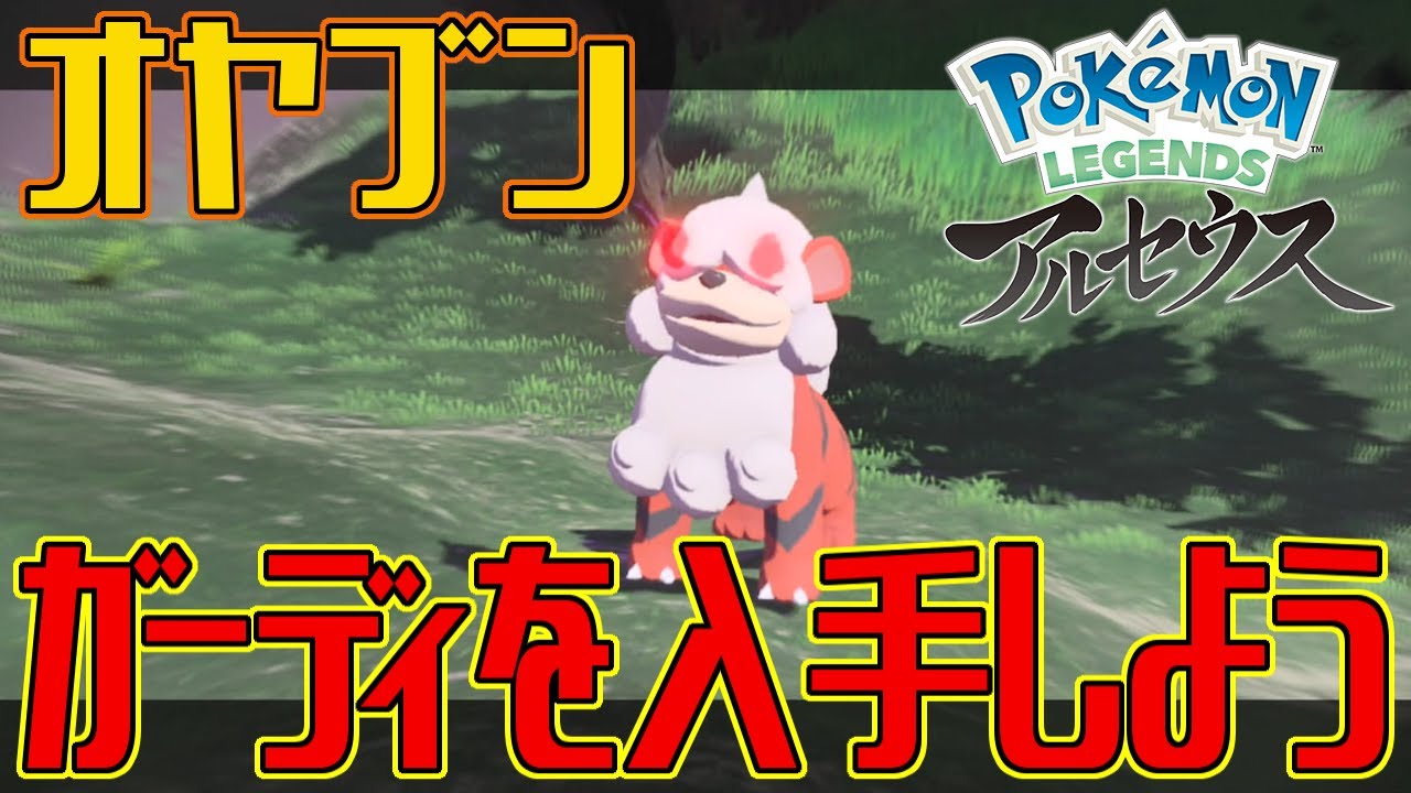 レジェンズ ワイ オヤブンのガーディーを入手してしまう ポケモン通信 レジェンズ ワイ オヤブンのガーディーを入手してしまう ポケモン通信