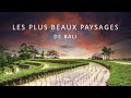 Un voyage  bali  travel designer