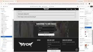 Master the Newsletter Section in Debutify Theme
