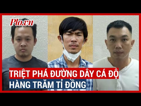 Video Triệt phá đường dây cá độ, số đề cả trăm tỉ đồng tại... - youtube
