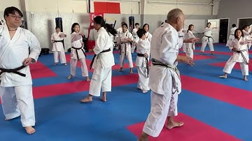 Asai-ryu Kihon: Three step Tenshin combination with Haito uchi and Shuto uchi combination