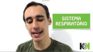 Fisiologia Animal - Sistema Respiratório