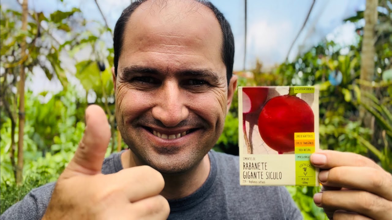 RABANETE GIGANTE SICOLO - DUAS DICAS PRA CRESCER MUITO SEM RACHAR