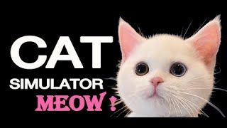 Cat Simulator Meow Gameplay Tiser screenshot 2