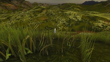 Testing the Landscape for MMORPG Project in Unity
