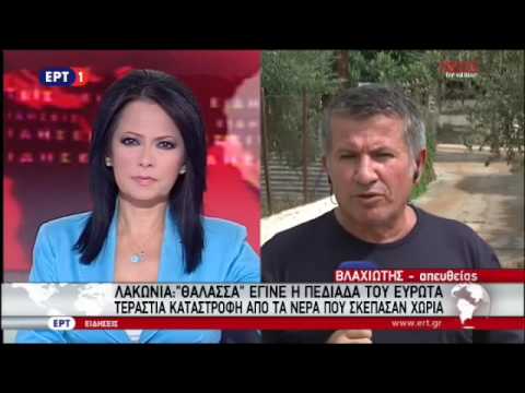 Συγκινεί ο σκύλος του 77χρονου που έχασε τη ζωή του από τις πλημμύρες στη Λακωνία