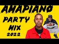 Best Amapiano Party Mix 03| 23 Feb 2022 | Dj Webaba