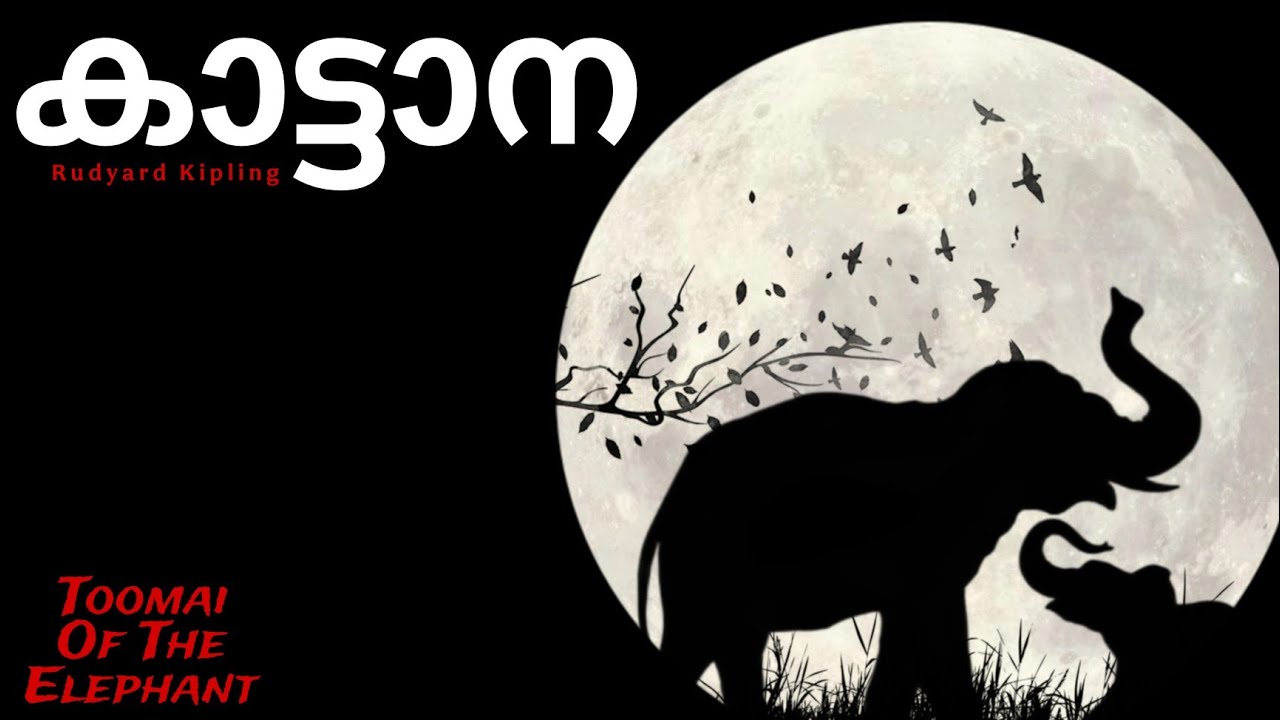 കാട്ടാന | Toomai Of The Elephant | Rudyard Kipling |Life Of Sniper Spool | Hunting Story