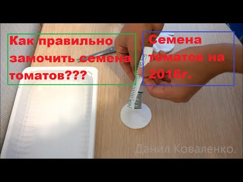 Как правильно замочить семена ТОМАТОВ?/Семена ТОМАТОВ на 2016г.