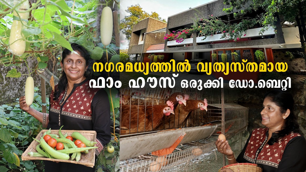 ന​ഗരമധ്യത്തിൽ വ്യത്യസ്തമായ ഫാം ഹൗസ് ഒരുക്കി ഡോ. ബെറ്റി | വീട്ടുമുറ്റം നിറയെ പഴങ്ങളും പച്ചക്കറികളും .