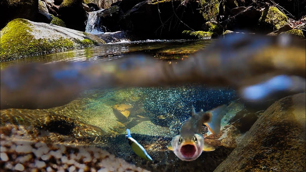 【衝撃】小さな支流にルアーを入れたら…【水中ヒットシーン連発】