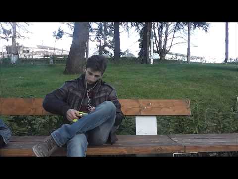 ნოველები - კინოგურმანი