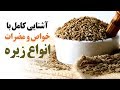 همه چیز درباره ی زیره 