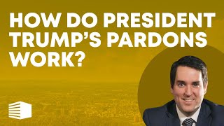 How do President Trump's Pardons Work?