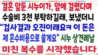 (반전신청사연)결혼 앞둔 시누가 희귀암에 걸렸다며 3천 부탁하길래 보냈더니 '검사결과 오진이래요 이 돈은 제 혼수로 쓸게요' 그날로 박살내줬습니다[신청사연][사이다썰][사연라디오]