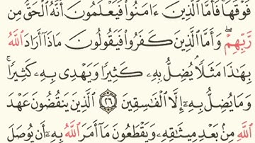 سورة البقرة من الآية 25 الى الآية 29 بصوت القارئ الشيخ احمد بن علي العجمي نفعنا الله بها وإياكم 🥰