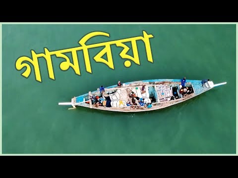 ভিডিও: গাম্বিয়া (নদী): মোড, উপনদী, উৎস, ছবি, বর্ণনা