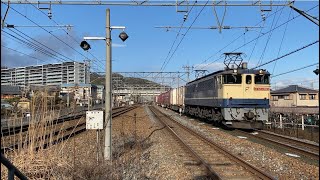 【5087レ】EF65 2065が牽引する貨物列車