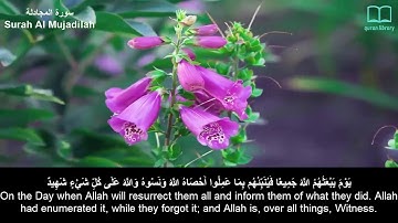سورة المجادلة - سعد الغامدي - مترجم | Surah Al Mujadilah - Saad Alghamdi - English subtitles