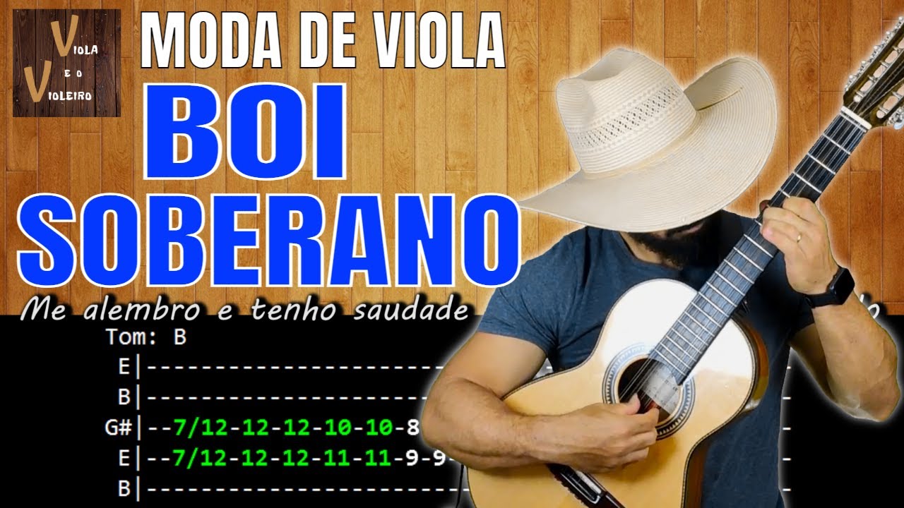 BOI SOBERANO - Aprenda a fazer o PONTEIO desse MODÃO | Viola e o Violeiro