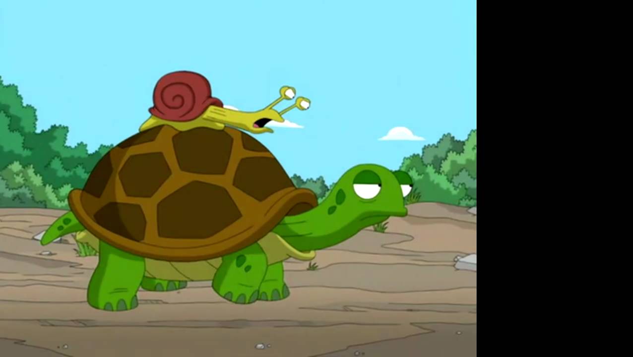 Snail on Turtle - YouTube