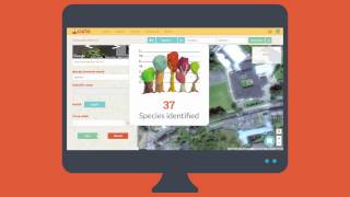 Admin features on Curio