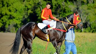 El Vikingo - Sebastián Almendras El Cuarto De Milla Corridos De Caballos