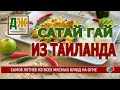 Лучший шашлык лета-2021 - таиландский сатай гай