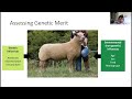 RamCompare Webinar - Unlocking the potential of sheep genetics in Northern Ireland