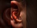 Can Red Worms Really Enter Human Ears? | Shocking Truth Explaine 🪱#insects #viral
