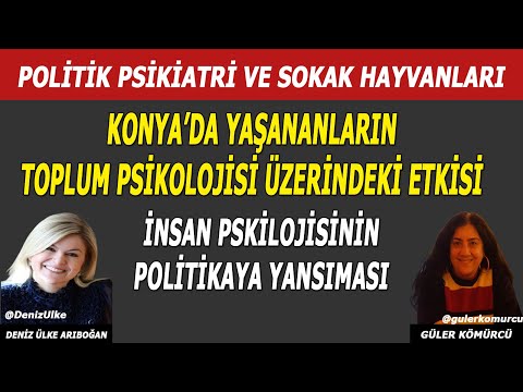 Video: Köpeğinizle Gece Yaptığınız İşte İşte