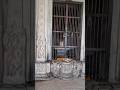 Someshwar Mandir Bhangarh(सोमेश्वर महादेव मंदिर )