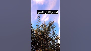 تلاوات القران الكريم #القرآن #تلاوات