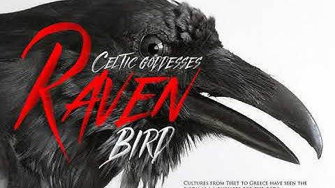 Beast SVG Font Font Download