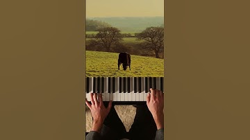 Thumbnail of Mariage d‘Amour with beautiful sceneries from Rachel Hannah 🍃 #piano #romantic #slowlife