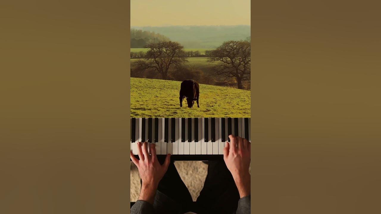 Mariage d‘Amour with beautiful sceneries from Rachel Hannah 🍃 #piano #romantic #slowlife