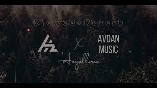 Sad Turkısh Violin ► Hayallerim ◄ Slowed + Reverb Haktanash Prod by AvDan Music Resimi