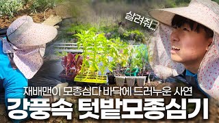 텃밭 준비 정말 쉽습니다.