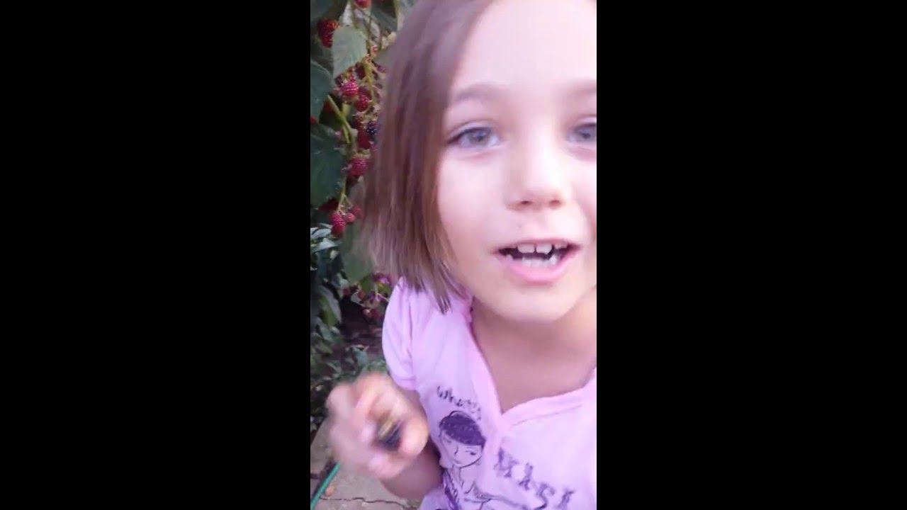 origami instructions recoltarea murului fara spin mure delicioase