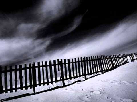 Terminal White — Terminal White - Terminal Joy