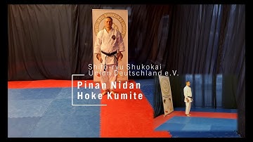 Pinan Nidan // Shito ryu // Kata with names of the techniques