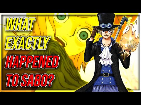 What Exactly Happened To Sabo After The Reverie One Piece Episode 957 Theory Fate Of Vivi